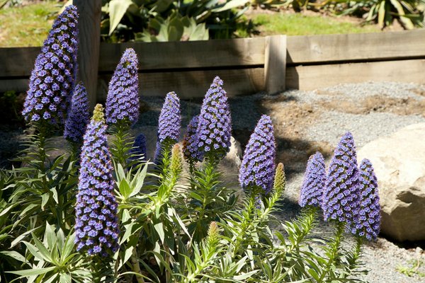 Des idées de déco pour un anniversaire de 25 ans inoubliable