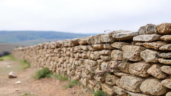 Top 5 méthodes pour éliminer les nuisibles dans le Vaucluse